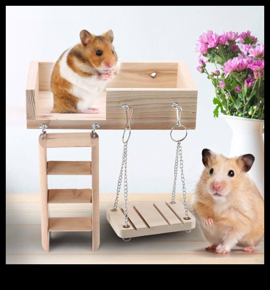 Jucării DIY pentru hamsteri Continuare: Idei ecologice și interactive