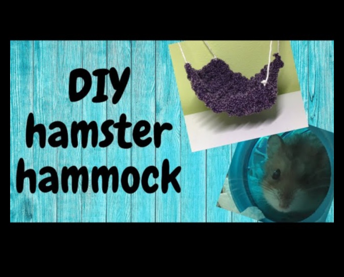 Jucării DIY pentru hamsteri Continuare: Idei ecologice și interactive