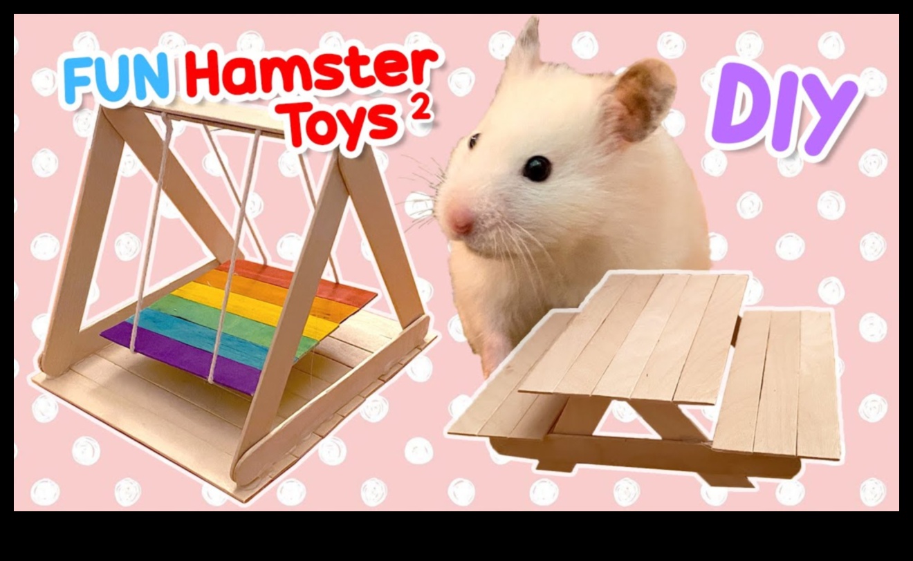 Jucării DIY pentru hamsteri Continuare: Idei ecologice și interactive