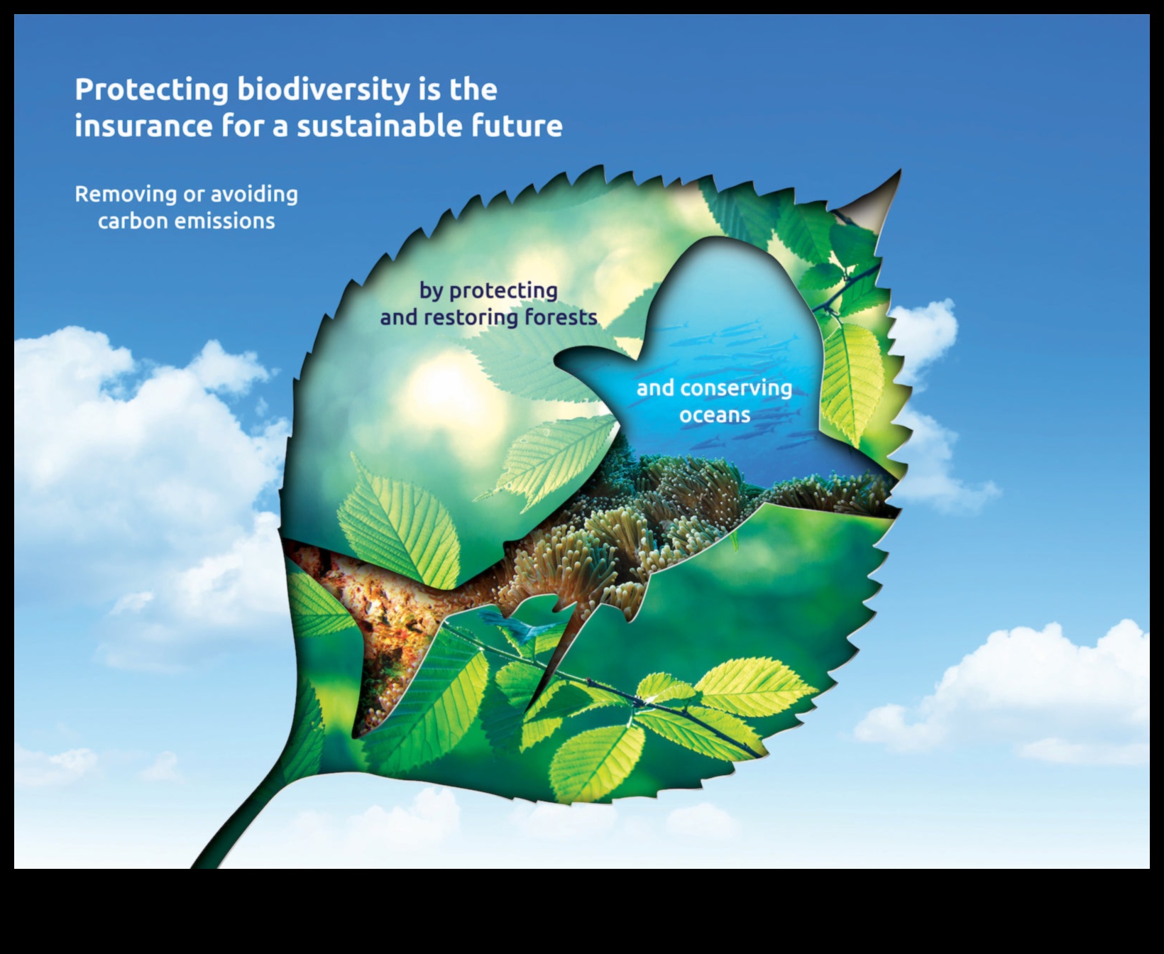 Puncte fierbinți de diversitate: Arii de conservare a biodiversității discutate