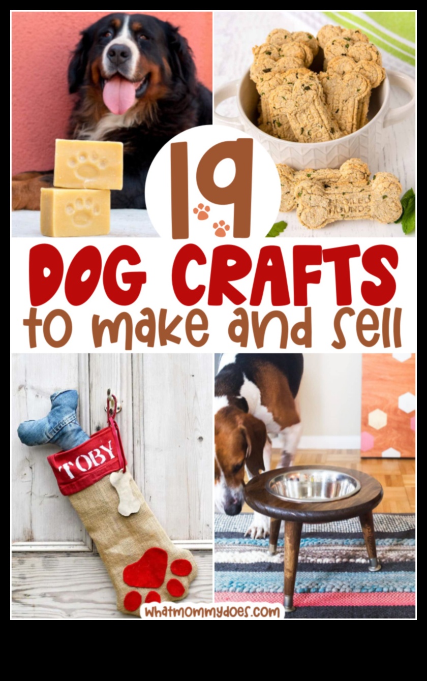 DIY Doggy Decor: Creați accesorii elegante pentru puiul dvs