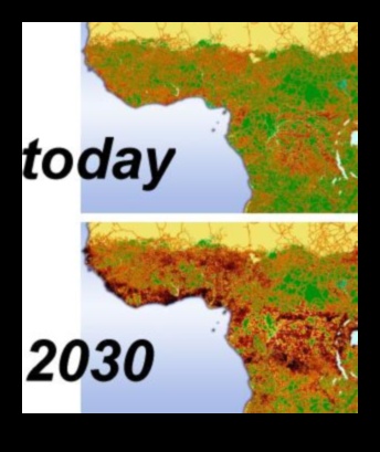 De ce anumite peisaje sunt mai predispuse la fragmentarea habitatului?