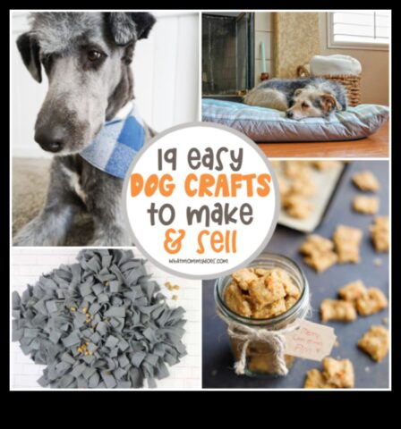 DIY Doggy Decor Crafting accesorii elegante pentru puiul dvs