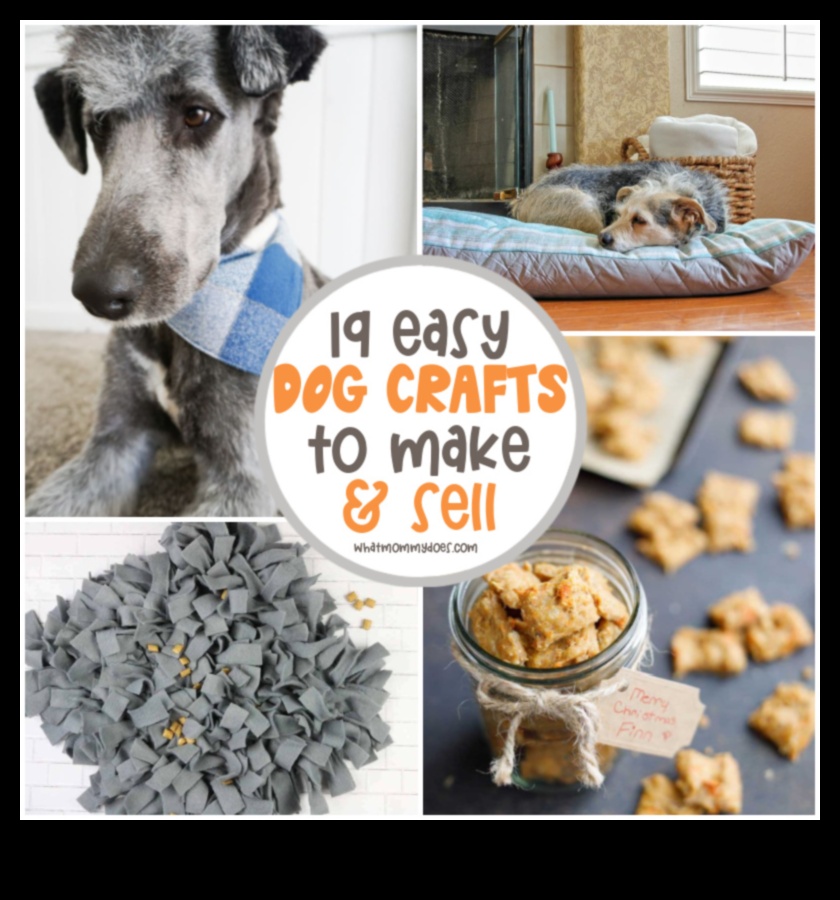 DIY Doggy Decor: Creați accesorii elegante pentru puiul dvs