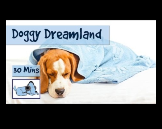 Doggy Dreamland: Crearea unui spațiu de dormit confortabil