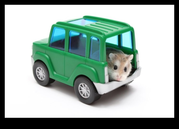 Sfaturi de călătorie pentru hamster: Cum să transportați în siguranță animalul dvs. de companie