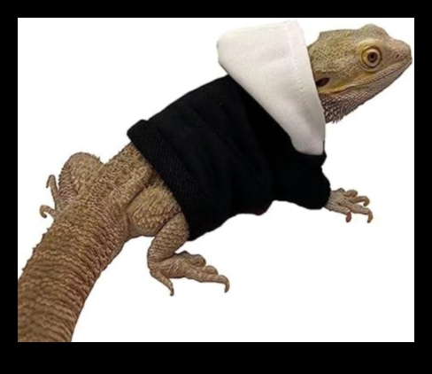 Alergători de reptile: Accesorii pentru reptile la modă