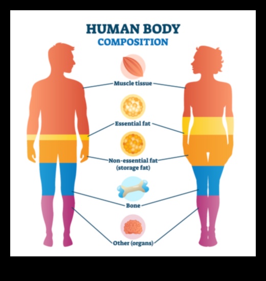 Influența compoziției corpului asupra dietelor de pierdere în greutate